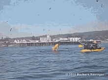 Whale Water GIF - Whale Water Kayak GIFs