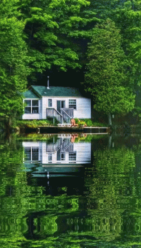 Lake Home GIF - Lake Home Reflection GIFs