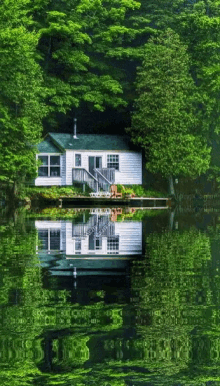 lake home reflection trees lake home reflection trees