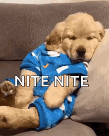 Cute Puppy GIF - Cute Puppy Goodnight GIFs