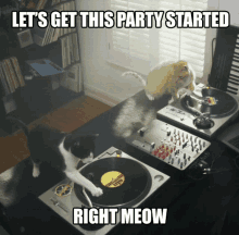 Party Right GIF - Party Right Now GIFs
