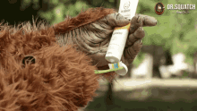 Squatch Using Toothpaste Squatch Brushing Teeth GIF - Squatch Using Toothpaste Squatch Brushing Teeth Sasquatch Using Toothpaste GIFs