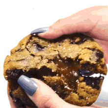 Cookie Cookies GIF - Cookie Cookies National Cookie Day GIFs