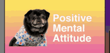 Dogs Mental GIF - Dogs Mental Vitality GIFs