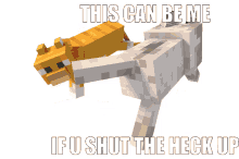 dog cat dogandcat shut up dog cat dogandcat shut up