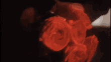 Leslie Cheung Red Rose GIF - Leslie Cheung Leslie Red Rose GIFs