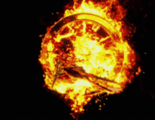 phoenix flame fire logo phoenix bird phoenix flame fire logo phoenix bird
