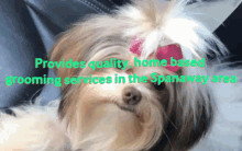 Dog Grooming Services In Spanaway GIF - Dog Grooming Services In Spanaway GIFs