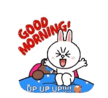 rabbit emoji surprise hello good morning