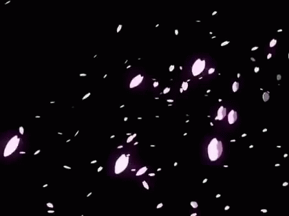 桜が落ちる 桜吹雪 枯れる GIF - Sakura Fubuki Cherry Blossoms 