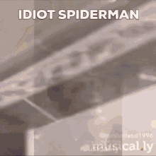 Idiot Spiderman GIF - Idiot Spiderman Idiotspiderman GIFs