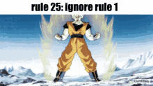 rule1 dbz rule