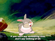 If You Cant Say Something Nice Dont Say Nothing At All Disney GIF - If You Cant Say Something Nice Dont Say Nothing At All Disney Thumper GIFs