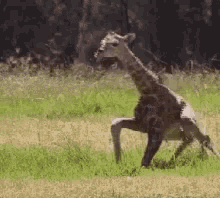 Leg Day Ouch GIF - Leg Day Ouch New Born GIFs
