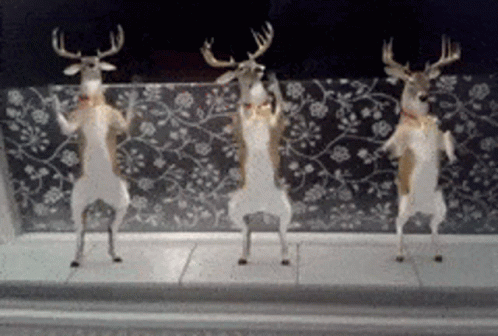 Deer Deer Dancing GIF - Deer Deer Dancing Deers - Descubre & Comparte.....