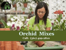 Orchid Orchid Mixes GIF - Orchid Orchid Mixes GIFs