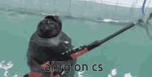 Cs Ahrg GIF - Cs Ahrg Seal GIFs