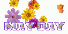 May1 May Day GIF - May1 May Day Flowers GIFs