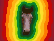 Triggerfav Horse GIF - Triggerfav Horse Rainbow GIFs