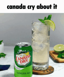 Canada Dry Canada Cry About It GIF - Canada Dry Canada Cry About It Pepseethe GIFs