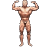 Gay Muscle Sticker - Gay Muscle Man Stickers
