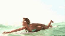 surfer surfing sea surfer surfing sea