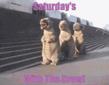 Saturday Dance Dino GIF - Saturday Dance Dino Dancing GIFs