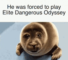He Was Forced Elite Dangerous GIF - He Was Forced Forced Elite Dangerous GIFs