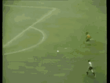Brazil Pele GIF - Brazil Pele Dummy GIFs