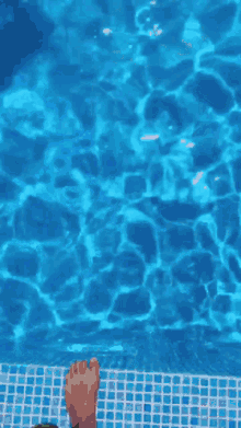 Picina Pool GIF - Picina Pool GIFs