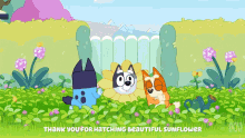 bluey bingo muffin cone sunflower bluey bingo muffin cone sunflower