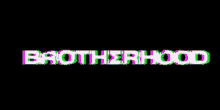 brotherhood discord logo glitch