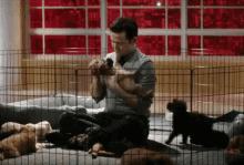 the interview joseph gordon levitt jgl puppy puppies the interview joseph gordon levitt jgl puppy puppies