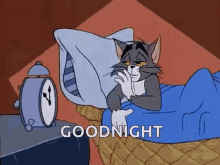 Goodnight Tom And Jerry GIF - Goodnight Tom And Jerry Cat GIFs
