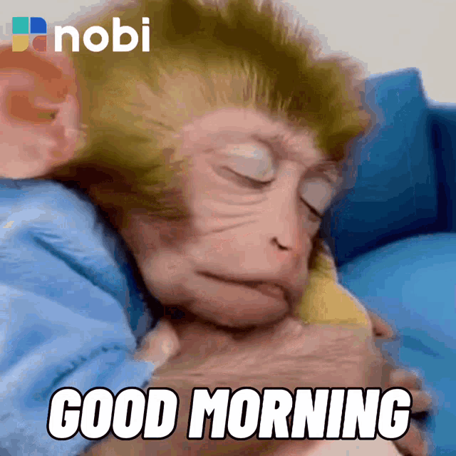gm,good,Morning,Good Morning,Gm Nft,nobi,exchange,crypto,wake,gif,animated ...