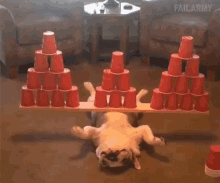 Chill Relax GIF - Chill Relax No Worries GIFs