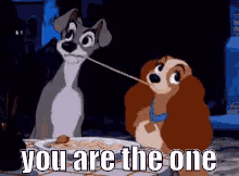 you are the one the one kiss kisses cute you are the one the one kiss kisses cute