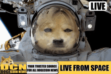 Dogecoin News Dogecoin To The Moon GIF - Dogecoin News Dogecoin Dogecoin To The Moon GIFs