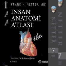 Anatomi Textbook GIF - Anatomi Textbook GIFs