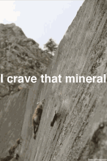 craving that minera crave that minerall mineral craving goat