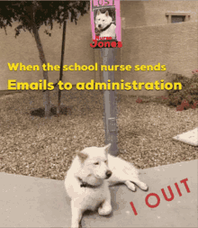 Schoolnurselife Searching GIF - Schoolnurselife Searching Emails GIFs