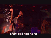Nemo Sharkbait GIF - Nemo Sharkbait Hoo GIFs