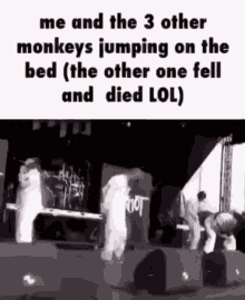 monkey monkeys bed monkeys jumping on bed 3monkeys
