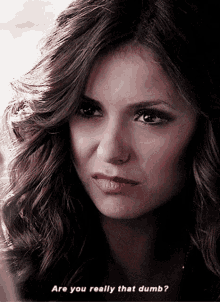 Seriously Are You That Dumb Or What Katherine Pierce GIF - Seriously Are You That Dumb Or What Katherine Pierce GIFs