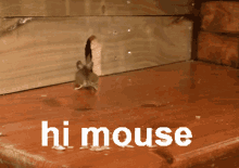 Hi Mouse Mouse GIF - Hi Mouse Mouse Hi GIFs