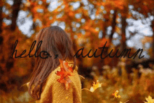 Autumn GIF - Autumn Seasons GIFs