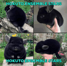 Hokuto Ensemble Stars Hokuto GIF - Hokuto Ensemble Stars Hokuto Enstars GIFs