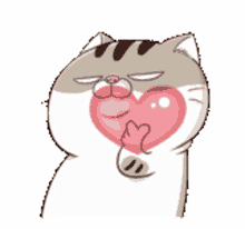 ami fat cat heart finger heart i love you