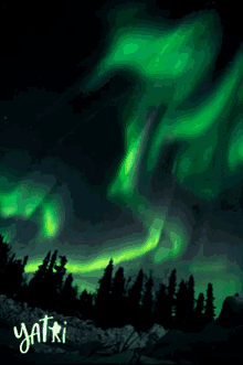 Northern Lights GIF - Northern Lights Aurora GIFs