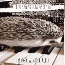 Reject Humanity Become Kipod GIF - Reject Humanity Become Kipod Kipod Reject Humanity GIFs